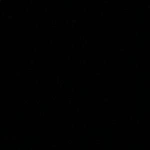 Meet your Posher, Analea